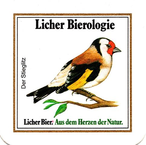 lich gi-he licher biero vgel eck 5b (quad185-der stieglitz) 